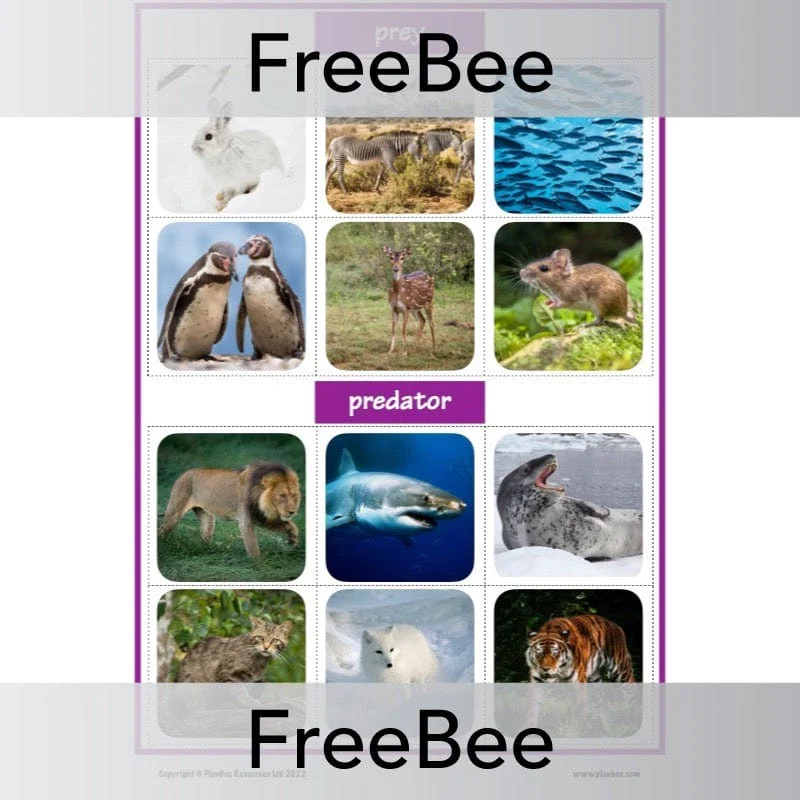 Active and Passive Voice Game - Image 2