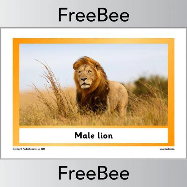 African Animals KS1 Display Poster - Image 22
