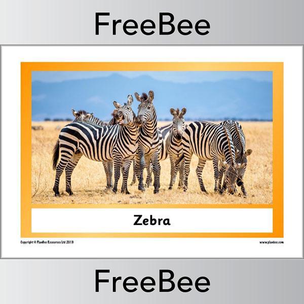African Animals KS1 Display Poster - Image 27