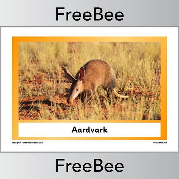 African Animals KS1 Display Poster - Image 6