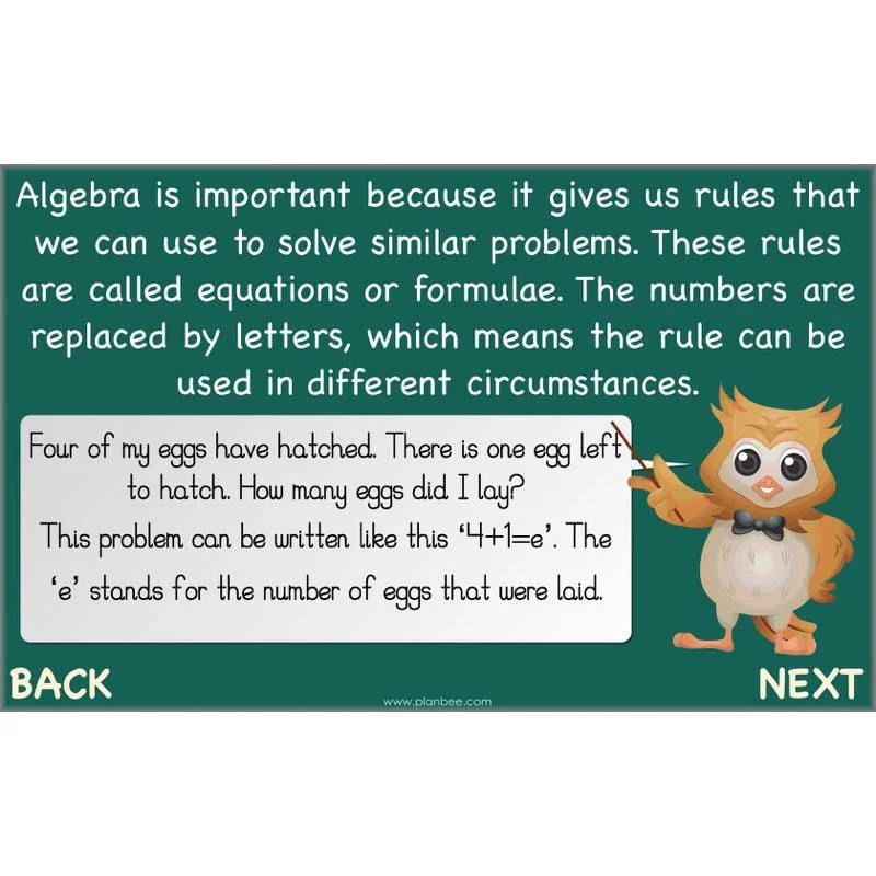 Introduction to Algebra - Image 28