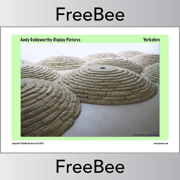 Andy Goldsworthy Display Pictures - Image 10