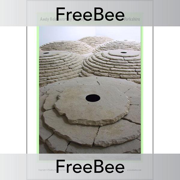 Andy Goldsworthy Display Pictures - Image 11