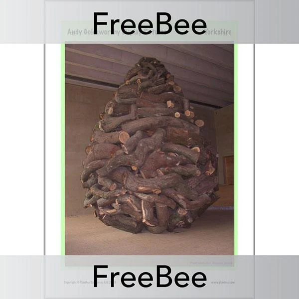 Andy Goldsworthy Display Pictures - Image 12
