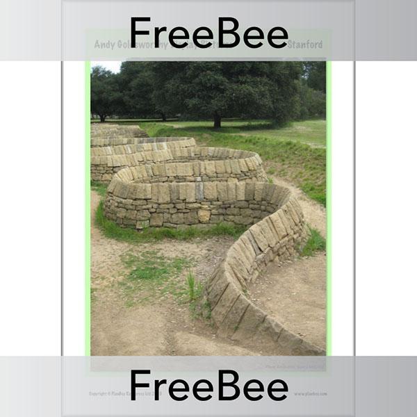Andy Goldsworthy Display Pictures - Image 13