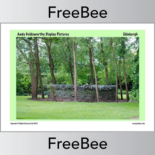 Andy Goldsworthy Display Pictures - Image 9