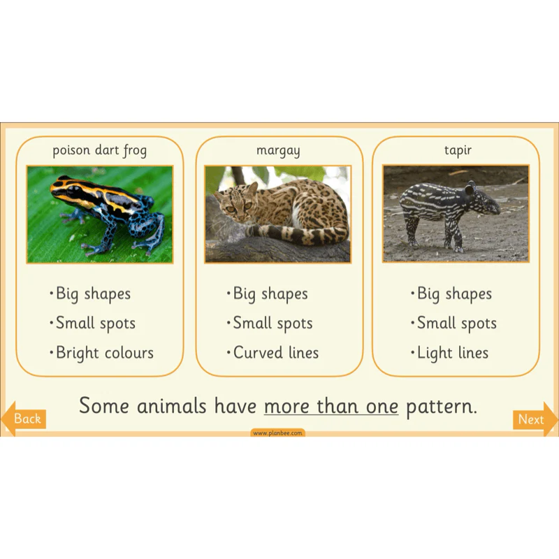 Animal Art - Image 7