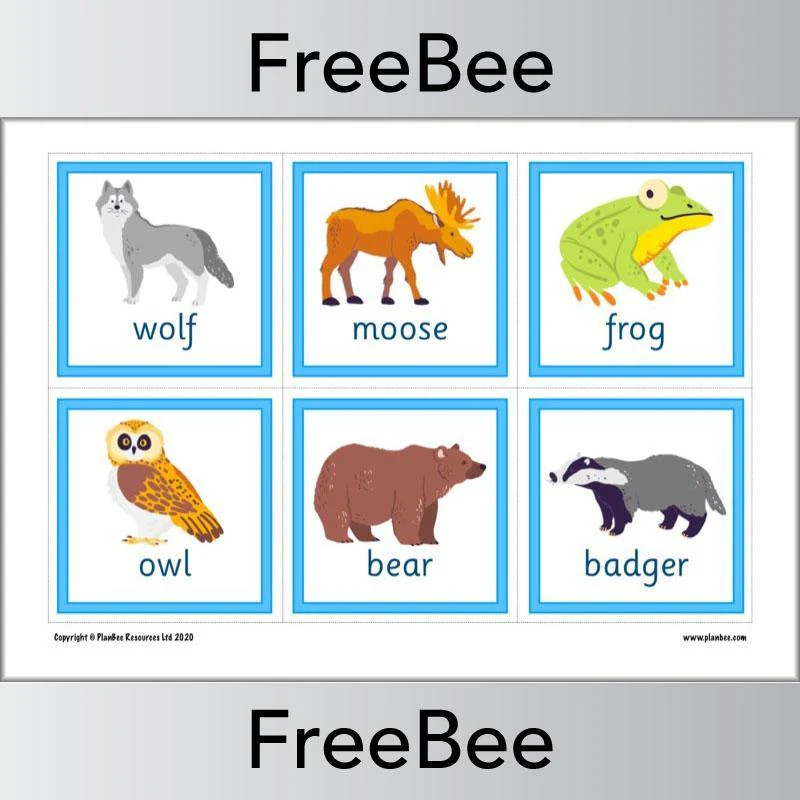 Animal Flashcards - Image 2