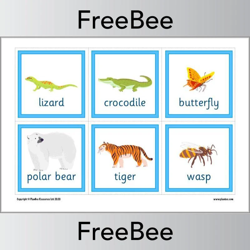 Animal Flashcards - Image 4