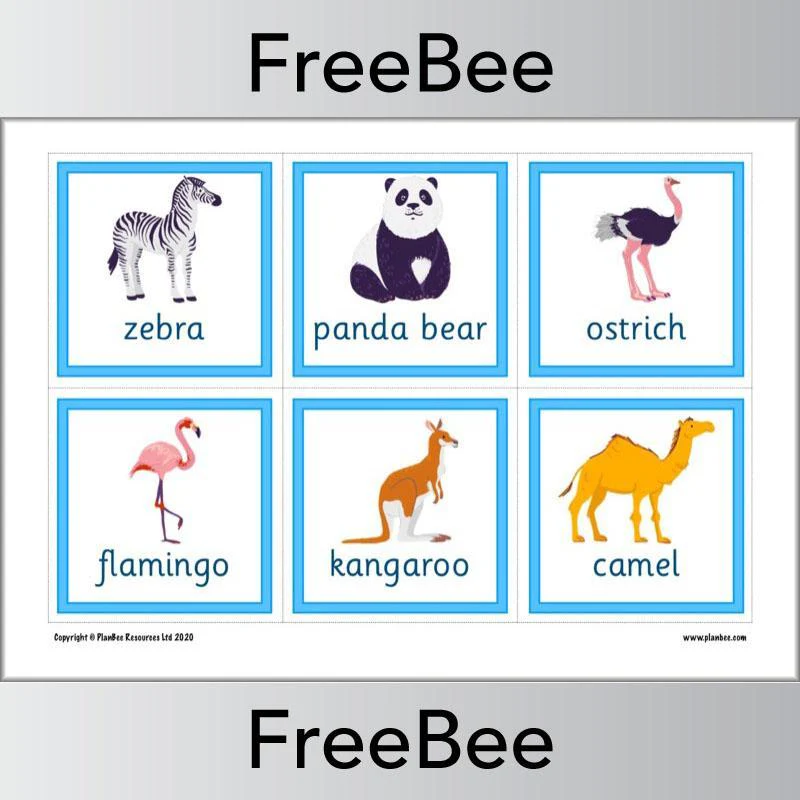 Animal Flashcards - Image 5