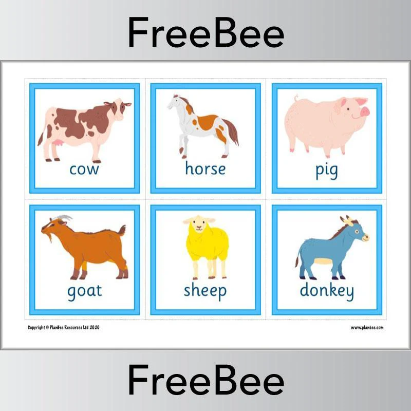 Animal Flashcards - Image 6