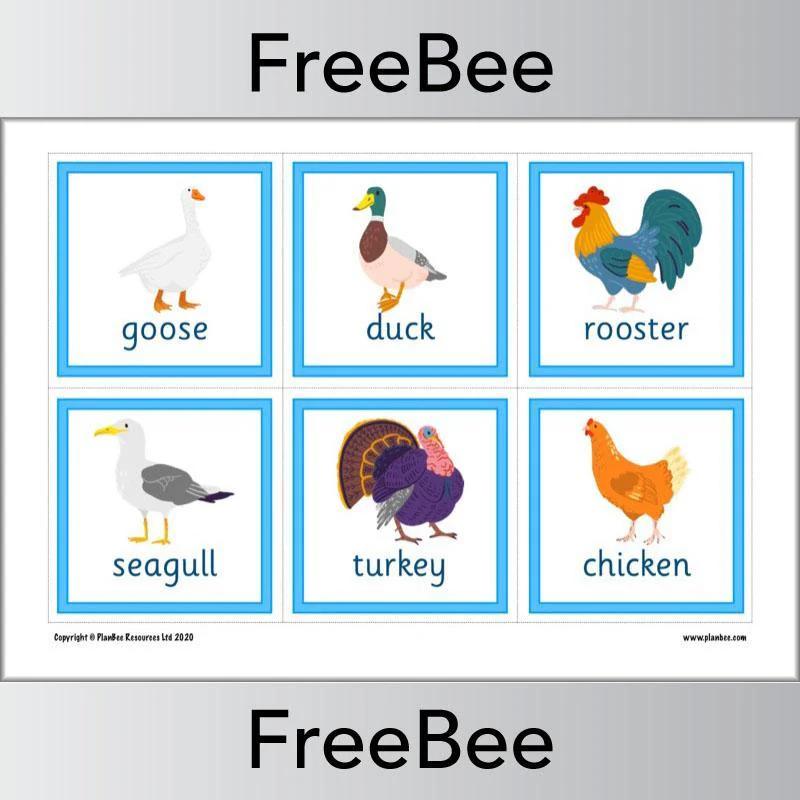 Animal Flashcards - Image 7