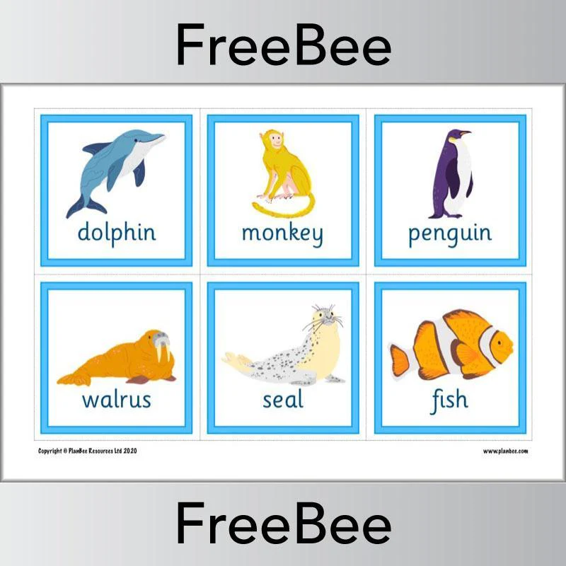 Animal Flashcards - Image 8