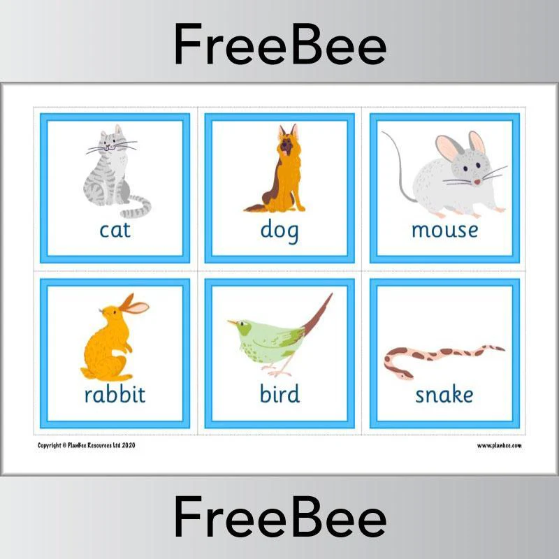 Animal Flashcards - Image 9
