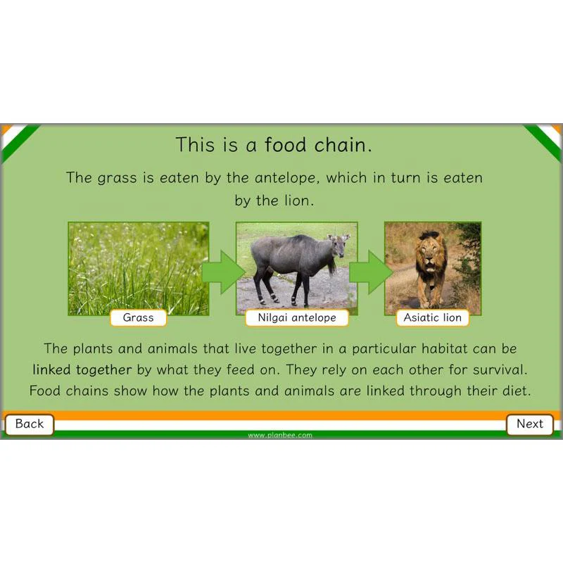 Animals of India - Image 61