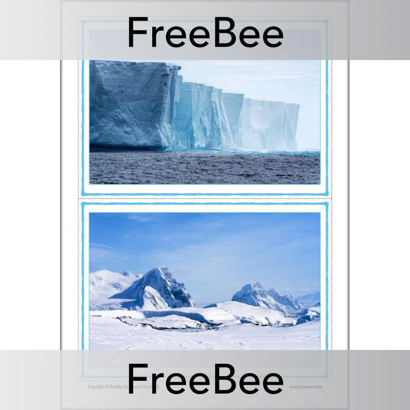 Antarctica KS1 Picture Cards
