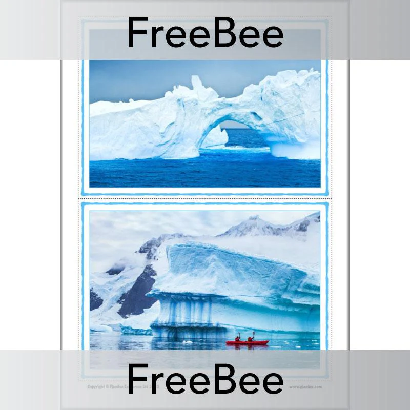Antarctica KS1 Picture Cards - Image 2