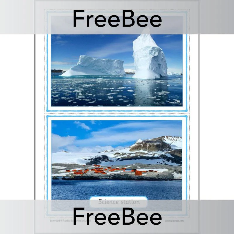 Antarctica KS1 Picture Cards - Image 4