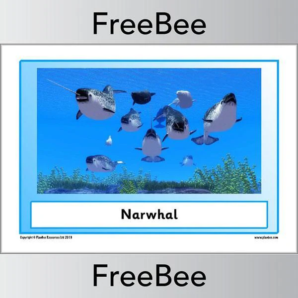Arctic Animals KS1 Posters - Image 15