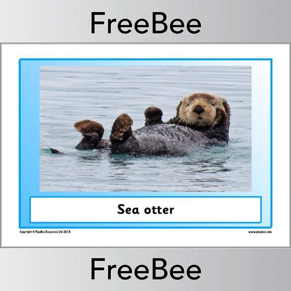 Arctic Animals KS1 Posters - Image 5