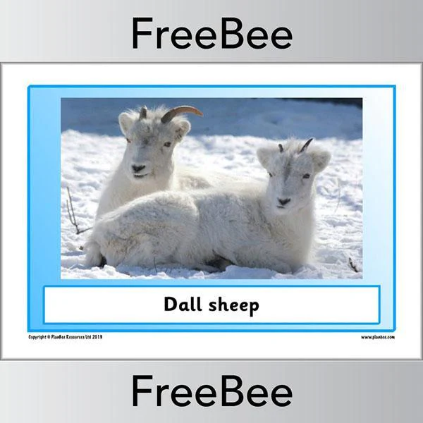 Arctic Animals KS1 Posters - Image 8