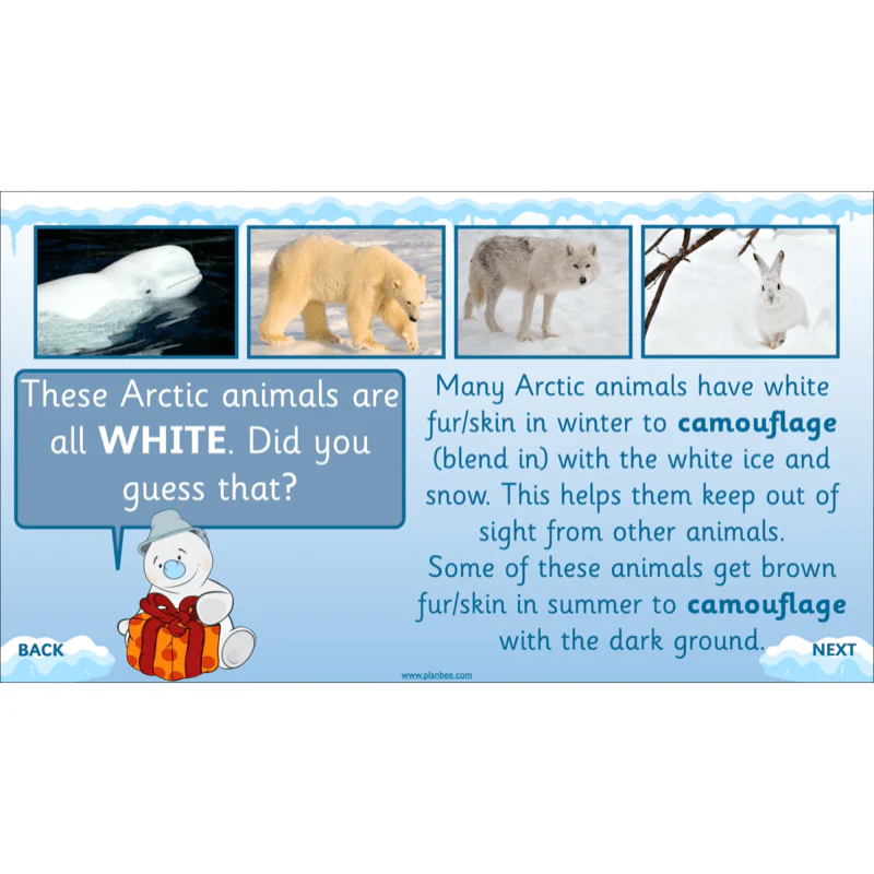 Let's go to the Arctic - Image 10