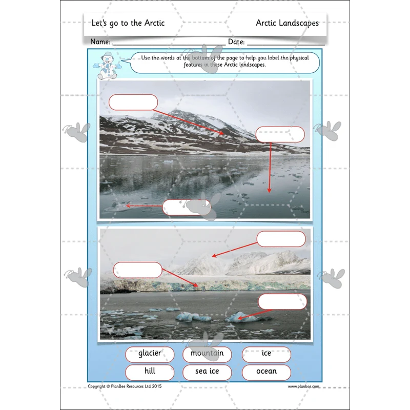 Let's go to the Arctic - Image 17