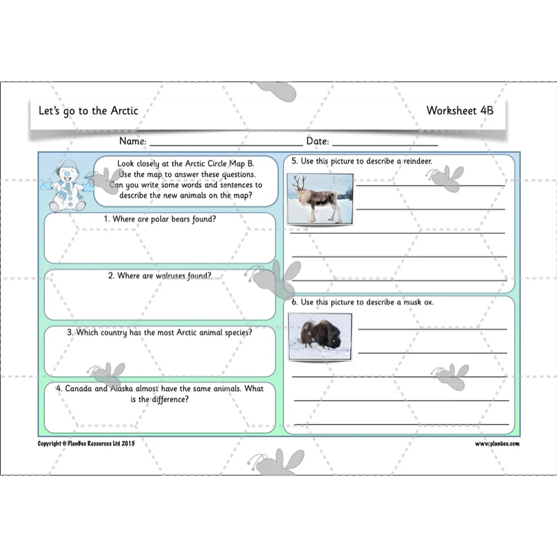 Let's go to the Arctic - Image 18
