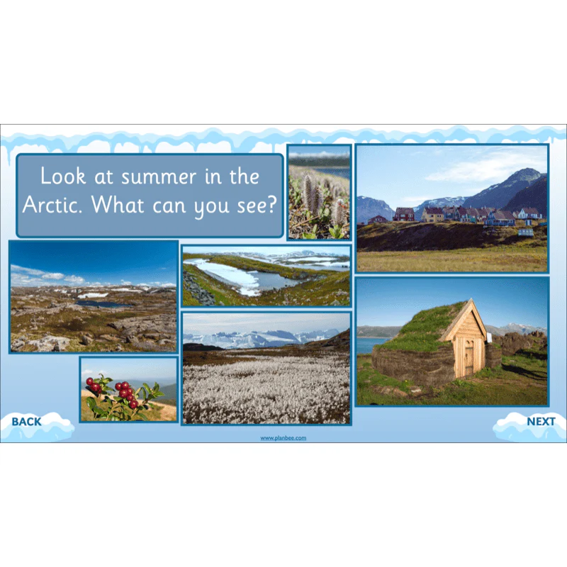 Let's go to the Arctic - Image 34