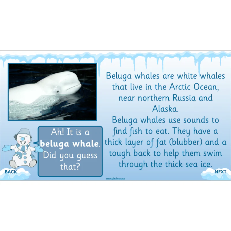 Let's go to the Arctic - Image 47