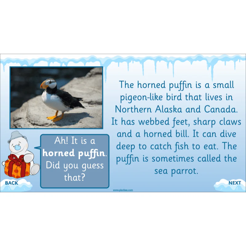 Let's go to the Arctic - Image 49