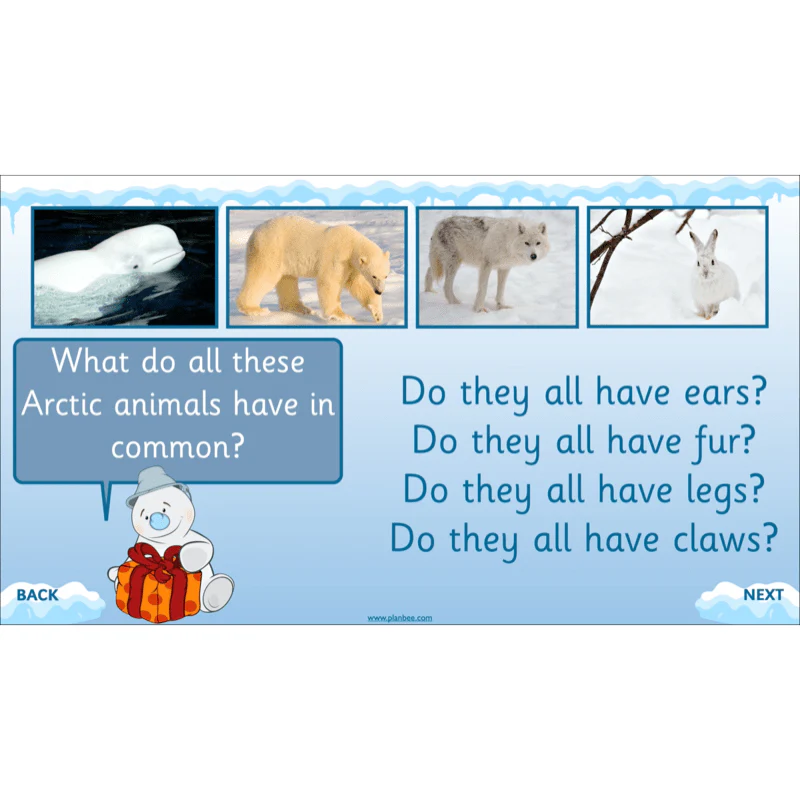 Let's go to the Arctic - Image 50