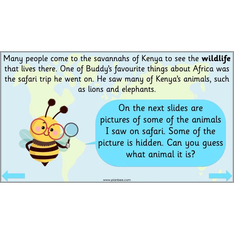 Around the World - Image 5
