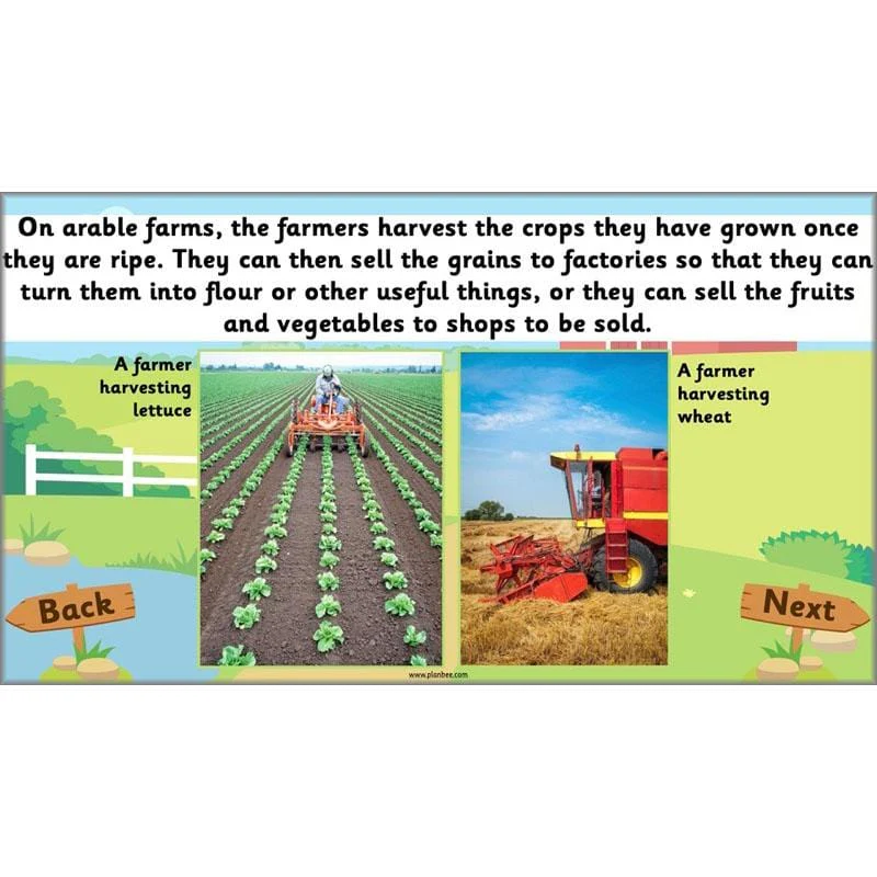 At the Farm - Image 20