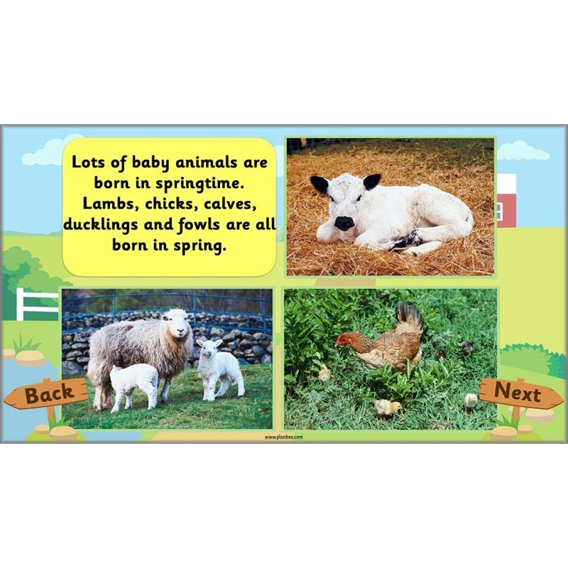 At the Farm - Image 44