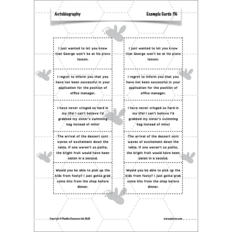 Autobiography KS2 - Image 40