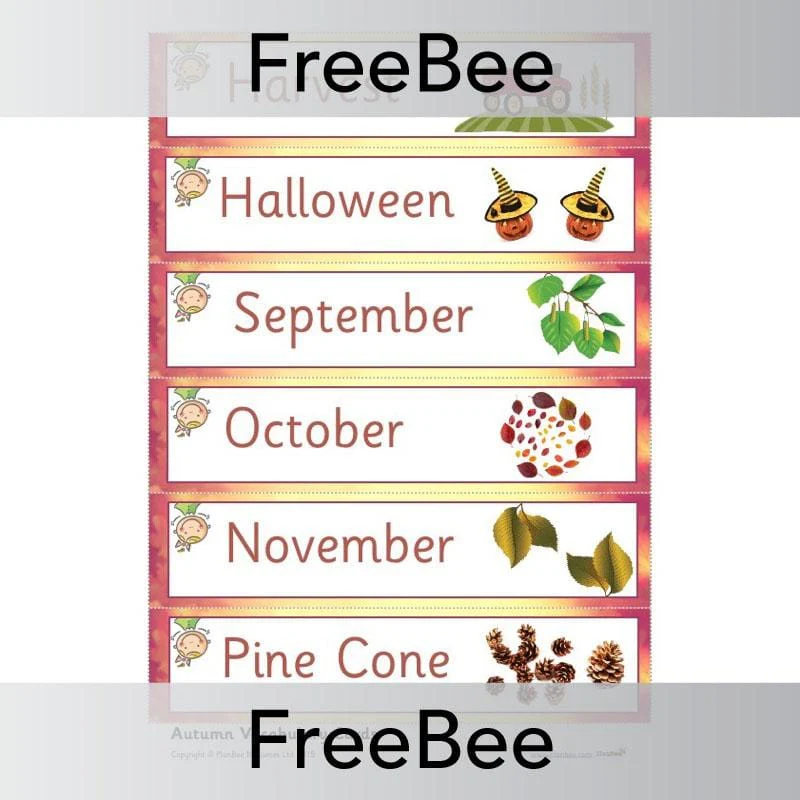 Autumn Display Pack - Image 5