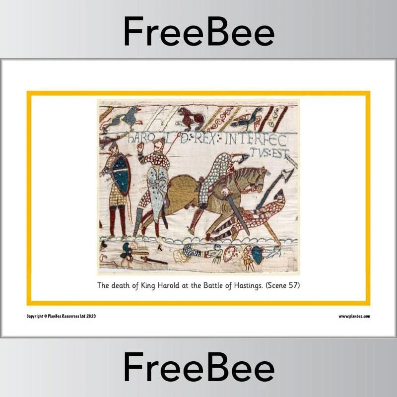 Bayeux Tapestry Picture Cards - Image 10