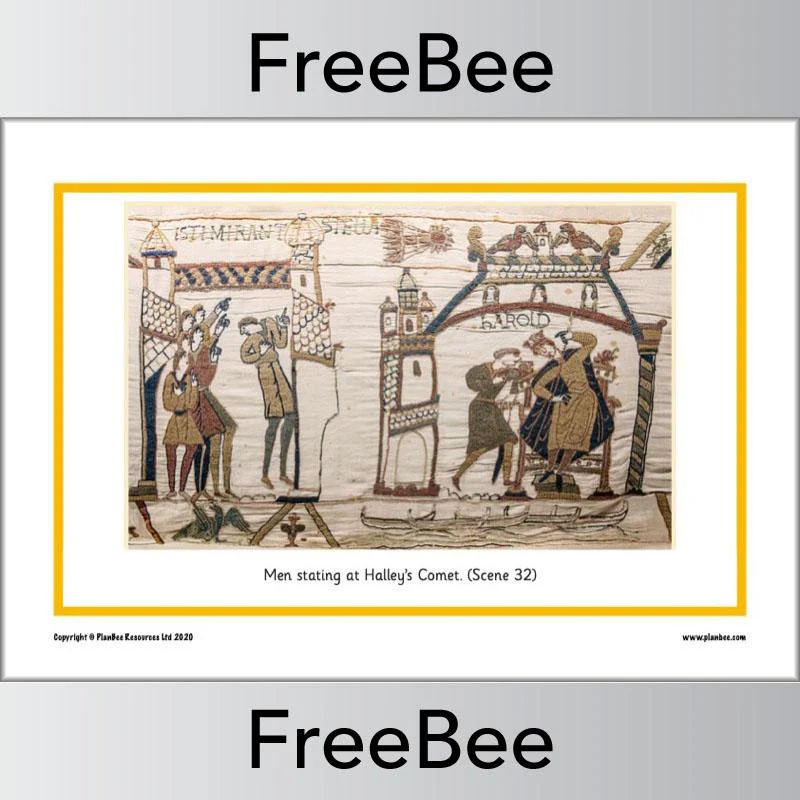 Bayeux Tapestry Picture Cards - Image 5
