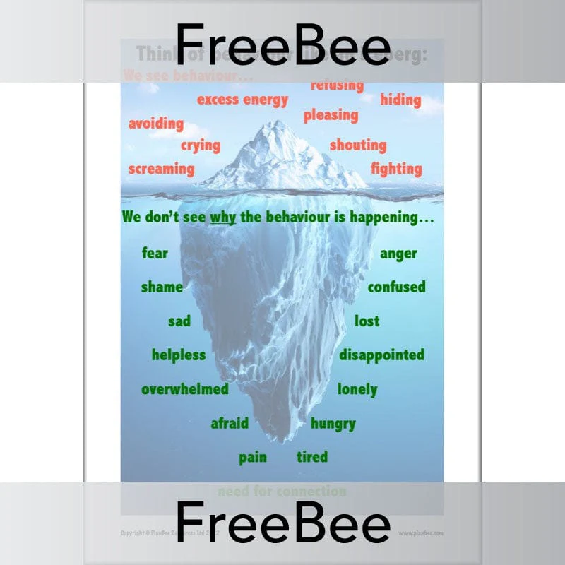 Behaviour Iceberg