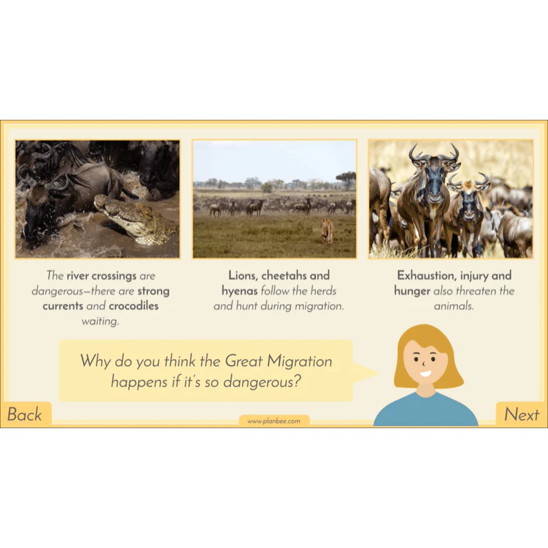 Biomes - Image 12