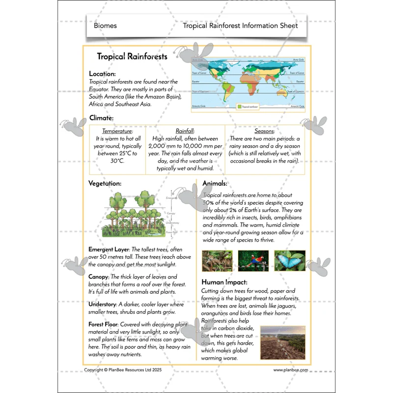 Biomes - Image 18