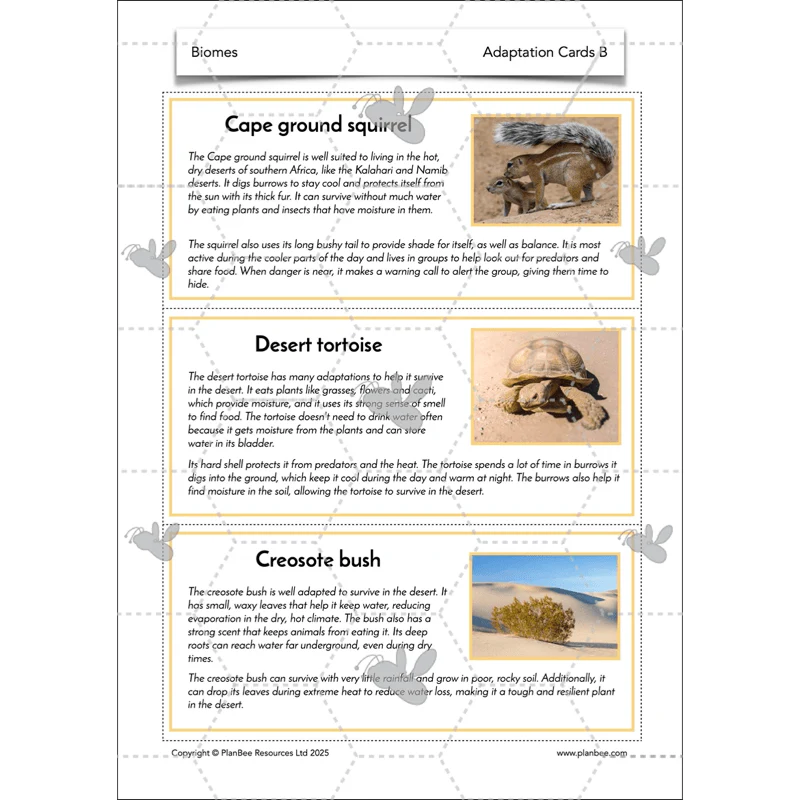 Biomes - Image 20