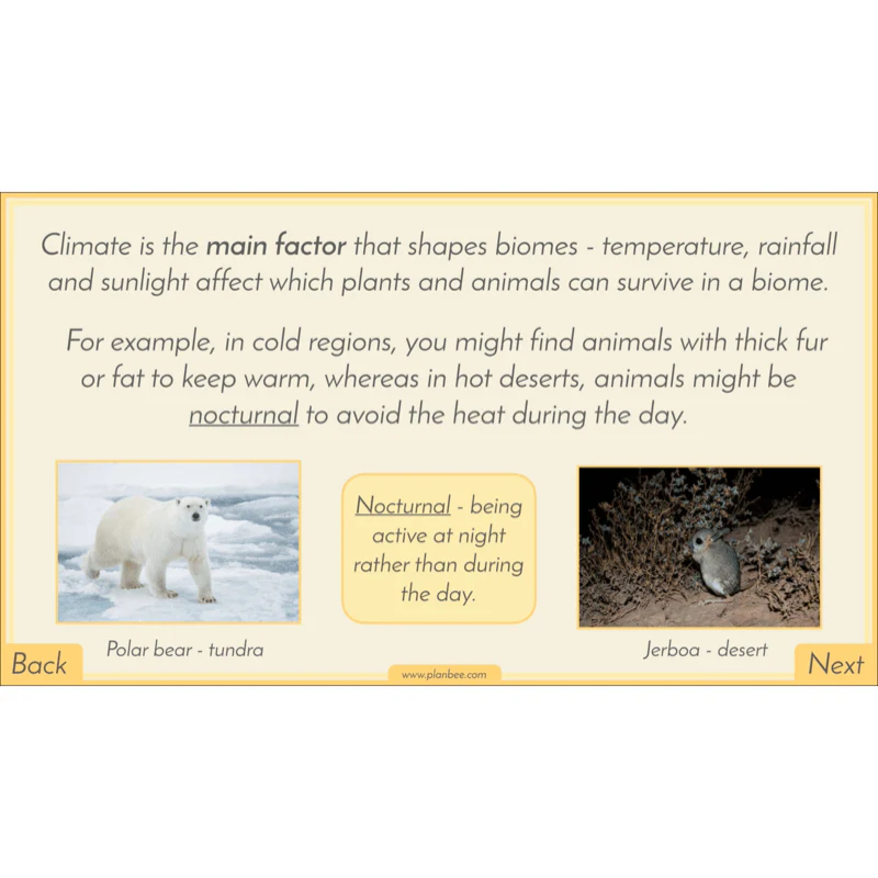 Biomes - Image 28