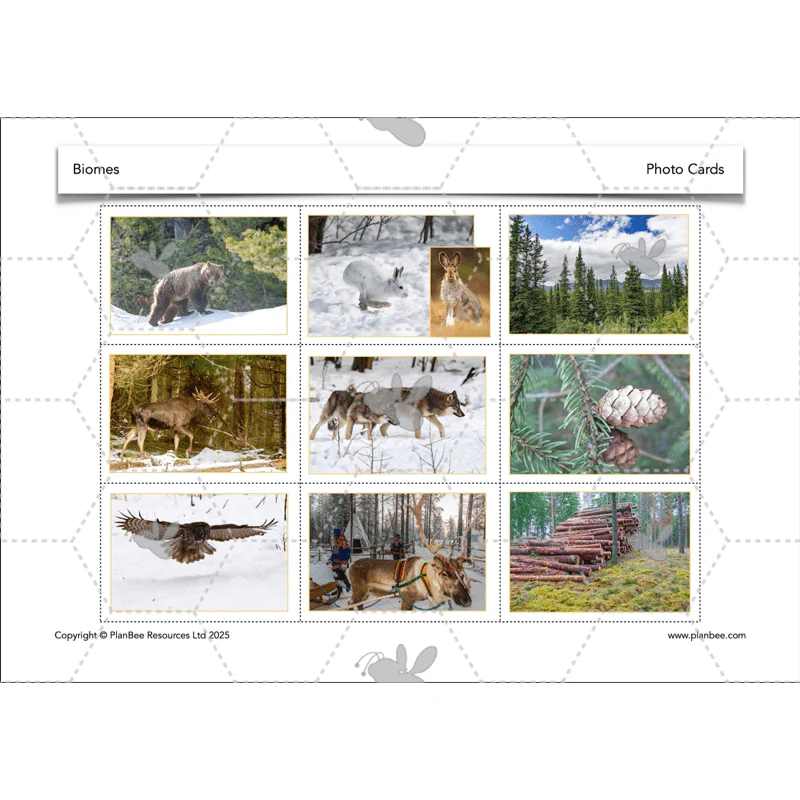 Biomes - Image 49