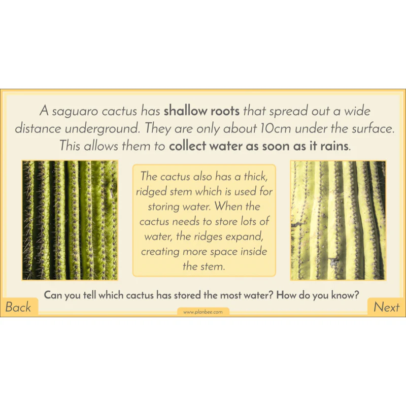 Biomes - Image 53