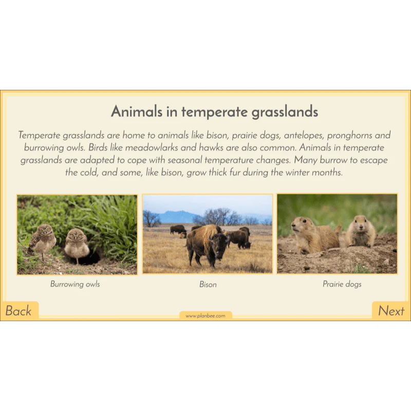 Biomes - Image 61