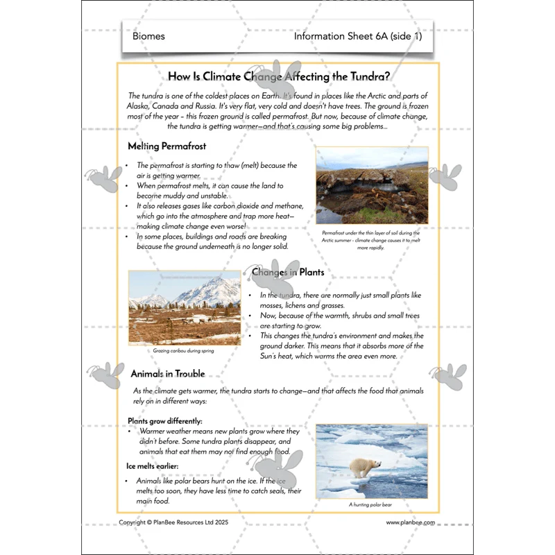 Biomes - Image 71