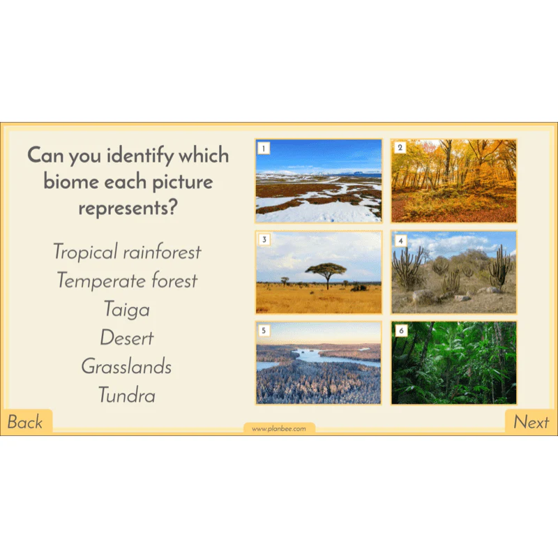 Biomes - Image 75
