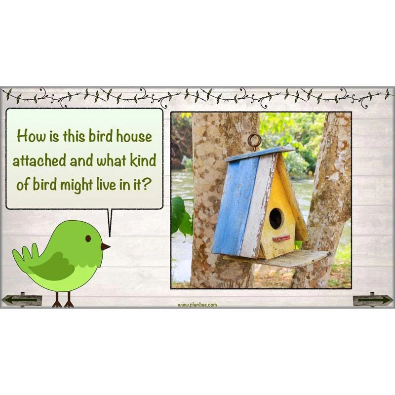 Bird House Builders - Image 24